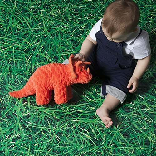 Manhattan Toy Little Jurassics Rory Dinosaur Stuffed Animal, 6 Inches #TOP3