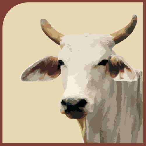 Lobola Calculator - //medicalbooks.filipinodoctors.org