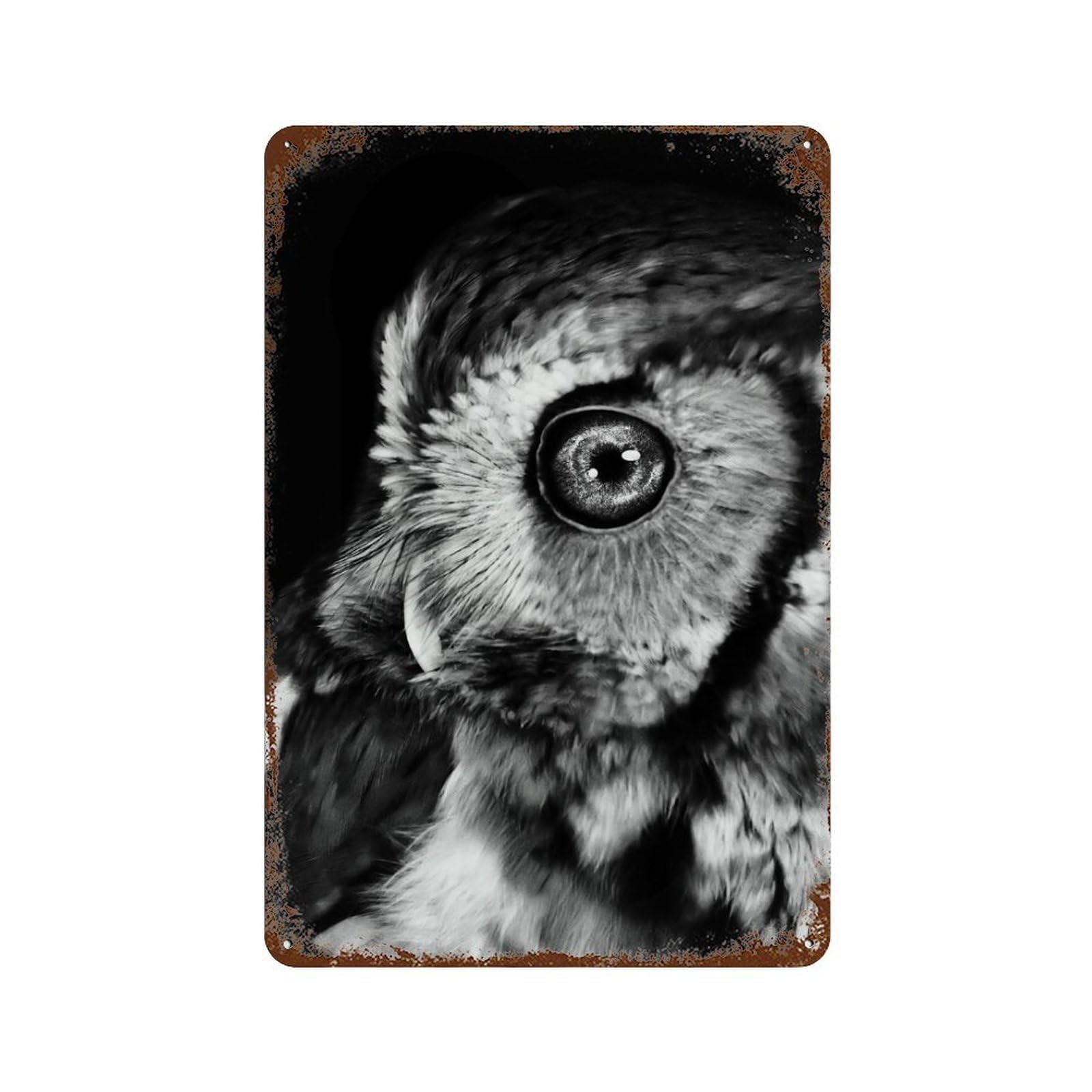 Owl with Galaxy Decorative Tin Sign 11.8"x7.9", Vintage Wall Decor for Basement, Hobby Room And Garage Decor