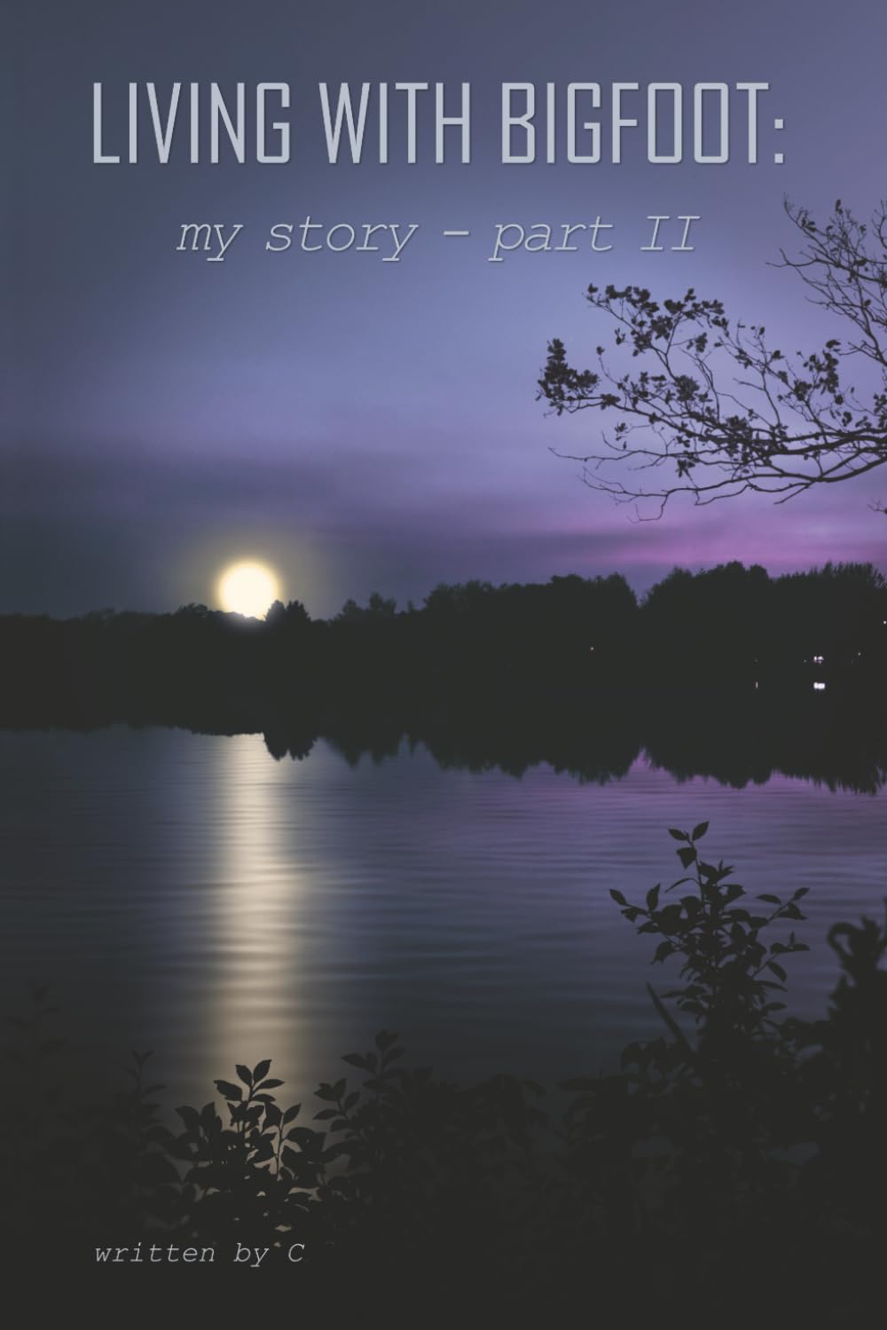 Living With Bigfoot: my story - part II