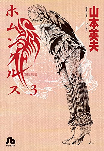 ホムンクルス (3) (小学館文庫 やC 22)