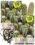 Seed Needs Specialty Cacti Seeds for Planting a Mixture of Cactus 2 Packs