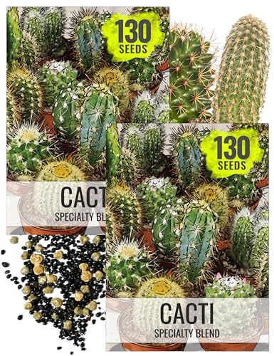 Seed Needs, Mixed Cacti/Cactus...