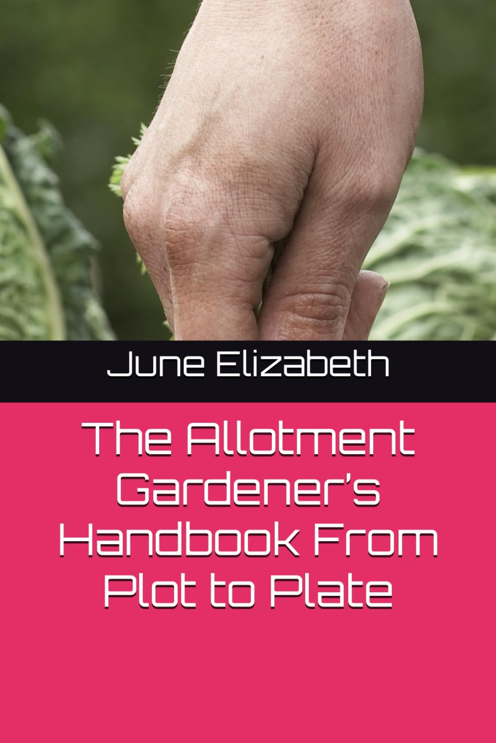 The Allotment Gardener’s Handbook From Plot to Plate
