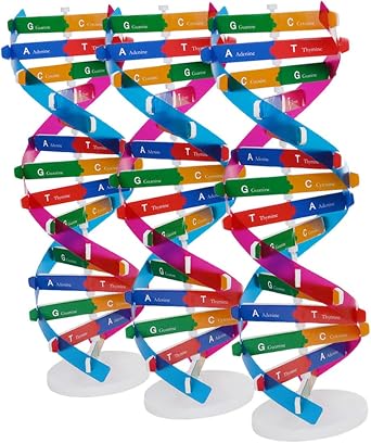 3pc Gene Model DNA Model Kit Plastic Gene DNA Model Abs