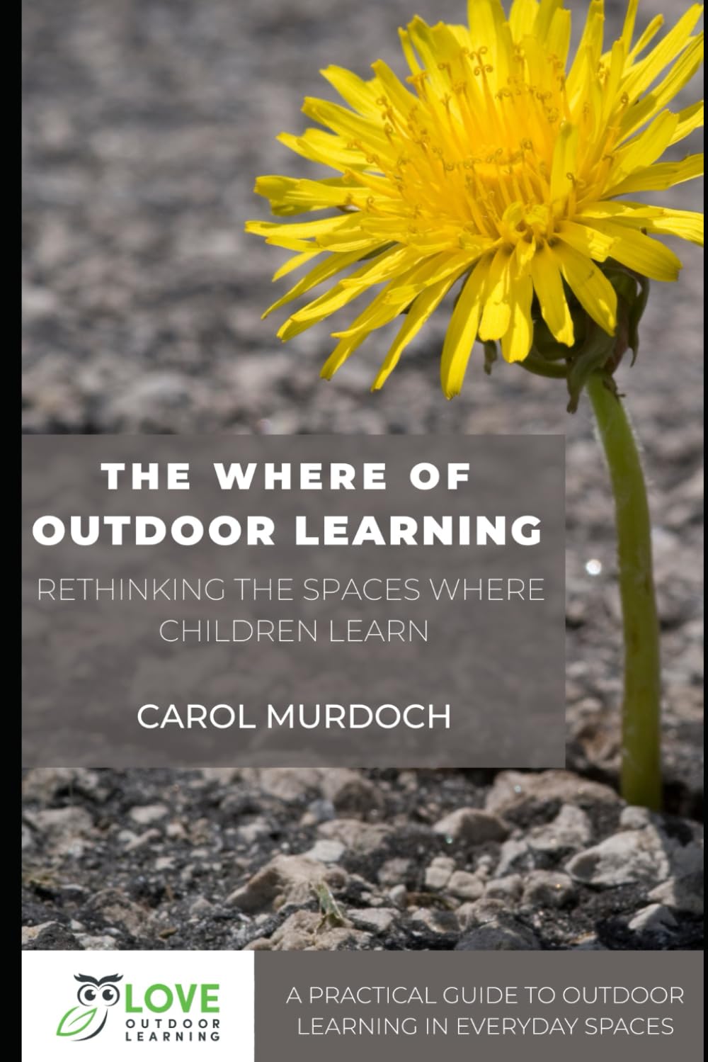The Where of Outdoor Learning: Rethinking the Spaces Where Children Learn