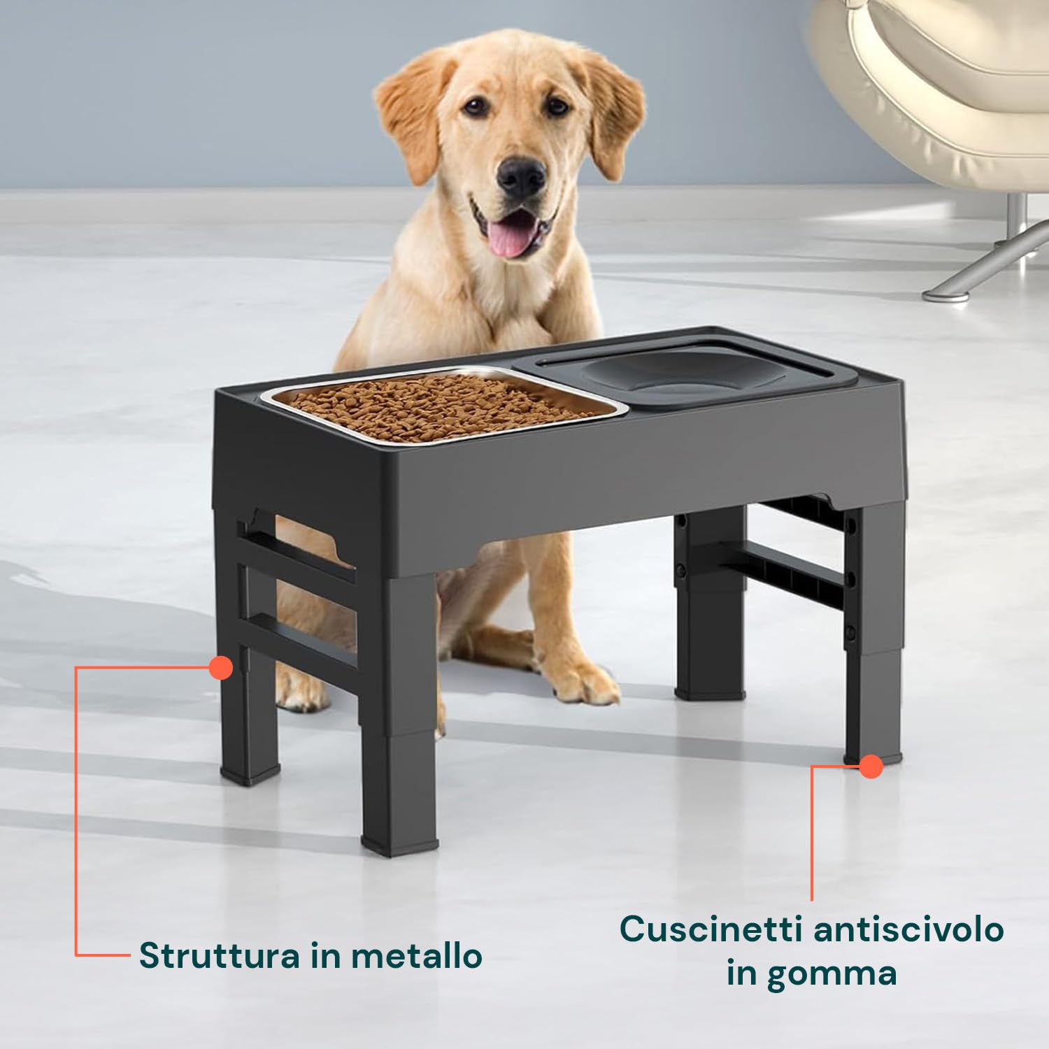 WINTEM Ciotole per Cani Rialzate e Regolabili in Altezza - Set 2 in 1: Ciotola Acqua Antigoccia 1,1L con Disco Galleggiante e Ciotola Cibo in Acciaio Inox - Supporto Antiscivolo per tutti i Cani