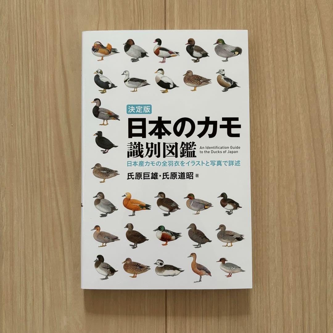 日本のカモ識別図鑑 決定版 日本のカモ識別図鑑 | 株式会社誠文堂新光社