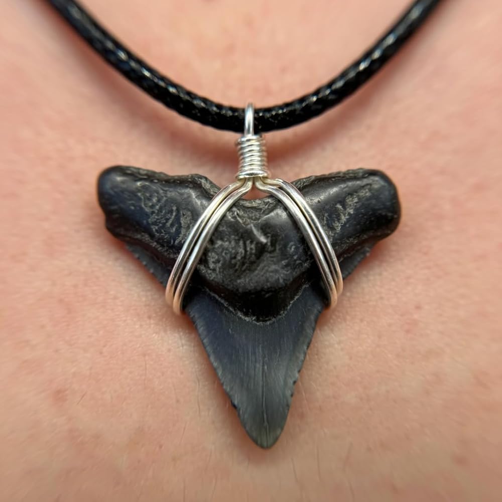 Natural Shark Tooth Necklace - Outer Banks Style, Genuine Fossil
