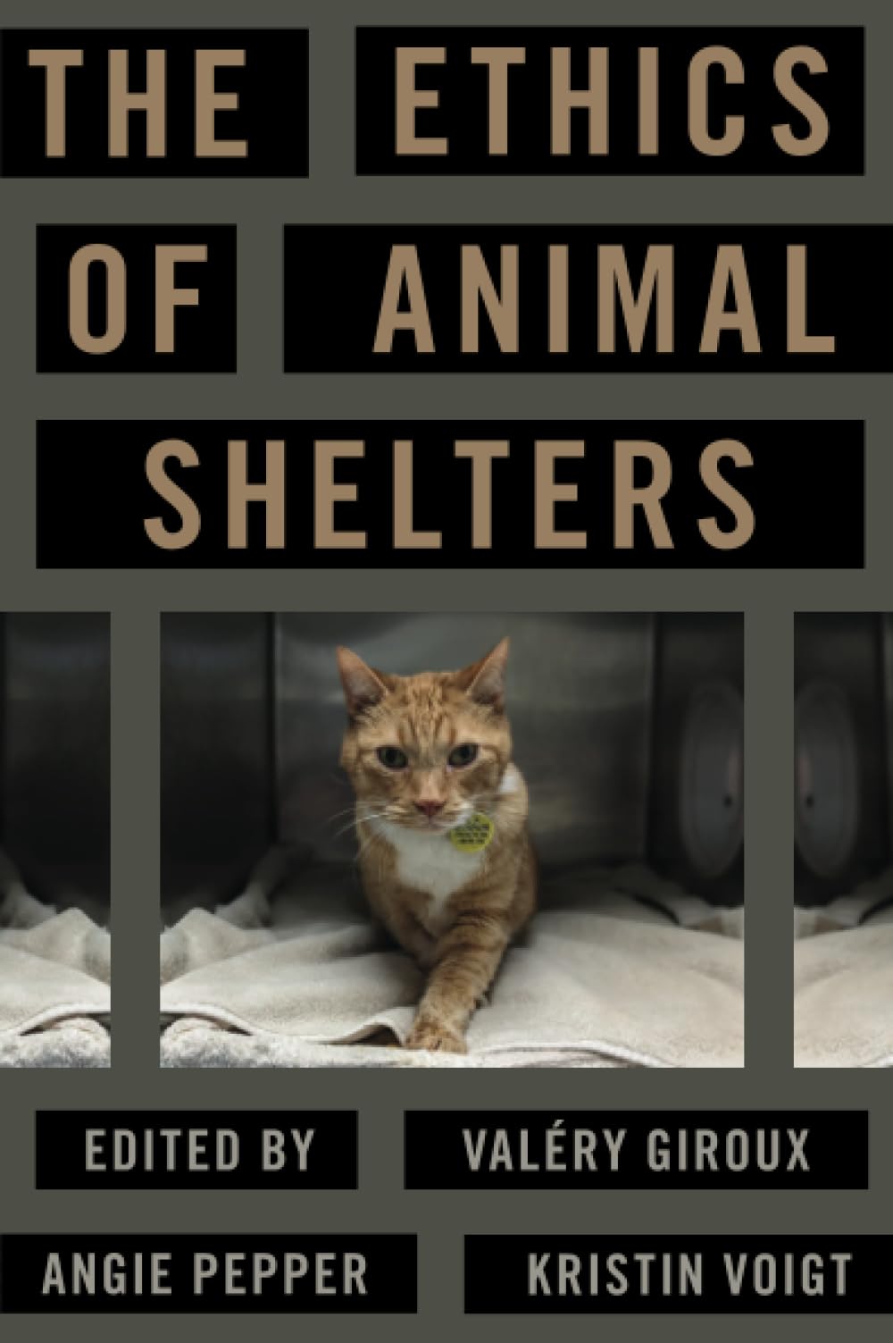The Ethics of Animal Shelters
