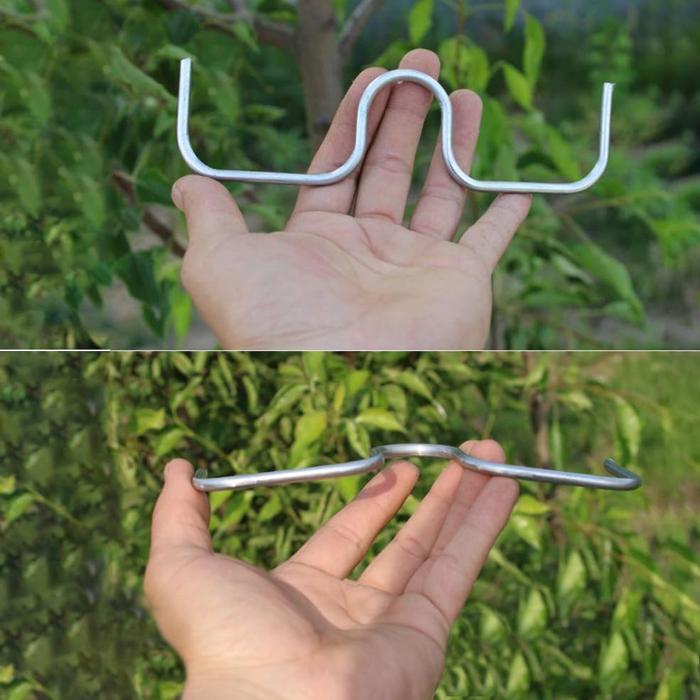 Herramienta para modelar ramas de árboles frutales miniatura 5