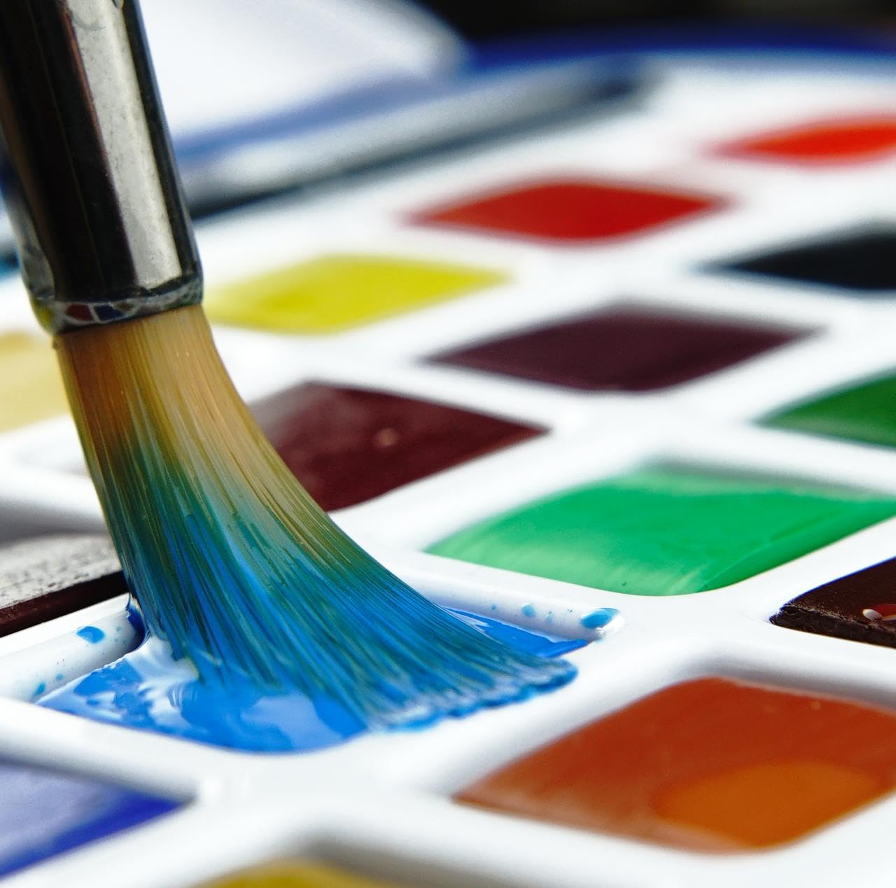Amazon | Daler Rowney Daler-Rowney Aquafine 48ピース 水彩画