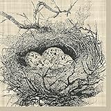 Paperproducts Design Nest Linen Cocktail Napkin, 5 by 5-Inch, Multicolored