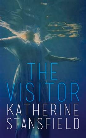 Visitor, The Visitor, The book cover