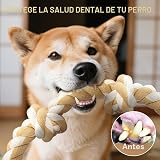Ver la foto 5