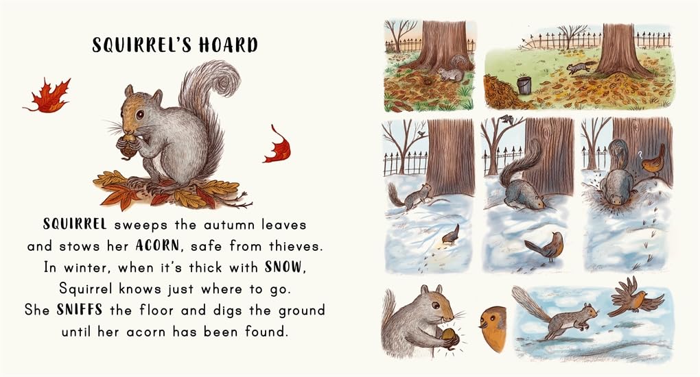 Slow Down… Discover Nature in the Park: Bring calm to Baby's world with 6 mindful nature moments
