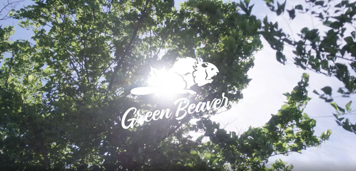Amazon.com : Green Beaver 75 Milliliter Zesty Orange Toothpaste
