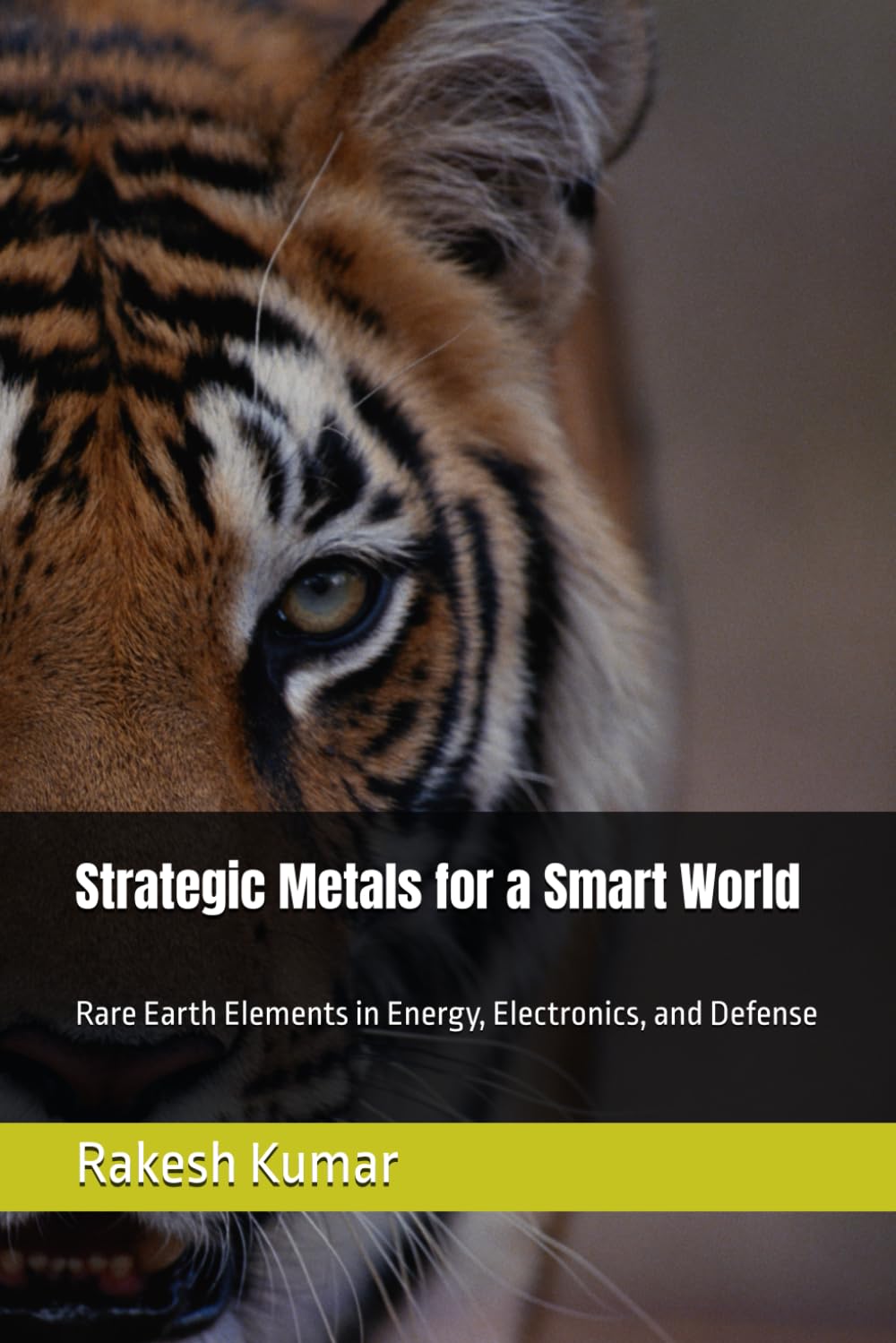 Strategic Metals for a Smart World: Rare Earth Elements in Energy, Electronics, and Defense