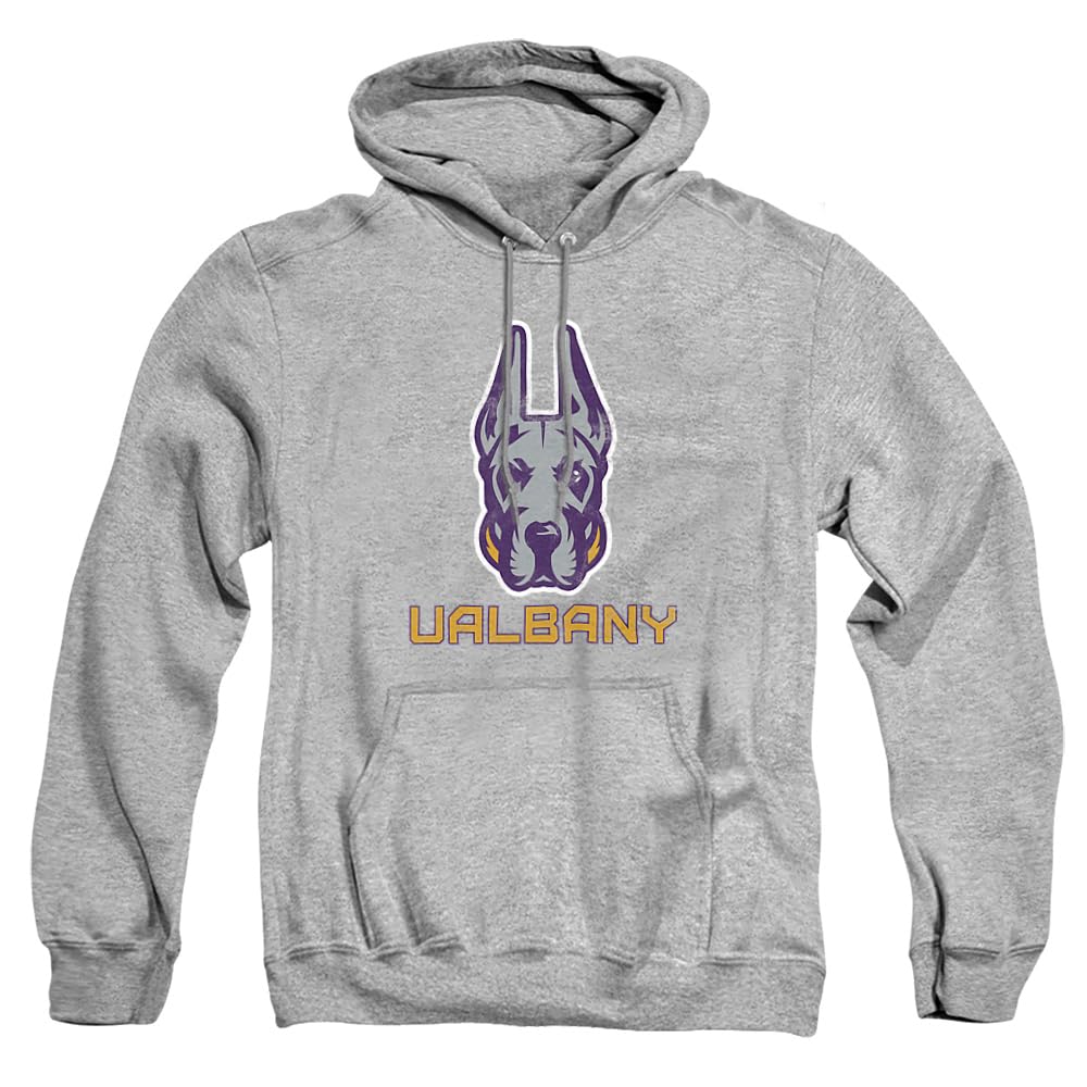 LOGOVISION Official Collegiate Distressed Primary Logo Adult Pullover Hoodie Collection — view 138