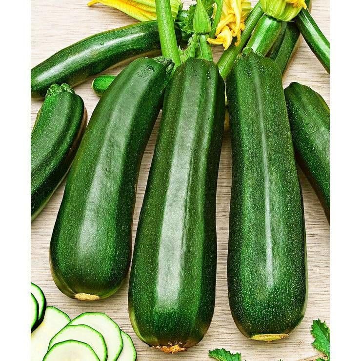 Seeds SunGreen Zucchini Courgette Squash Heirloom Vegetable for Planting Non GMO