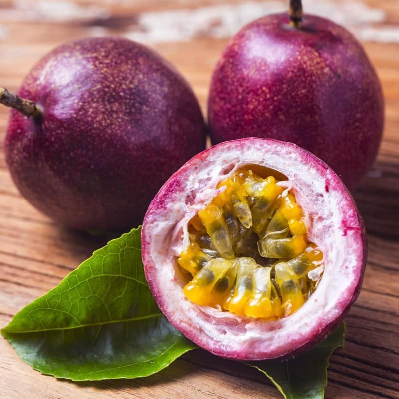 Passionfruit Vine Plant for Planting Garden, Passion Fruit Plant, Passion Fruit Tree Live Plant,5 to 8 Inch Tall, Perennial Fruit Vine, 2 Mixed Color Puple and Yellow