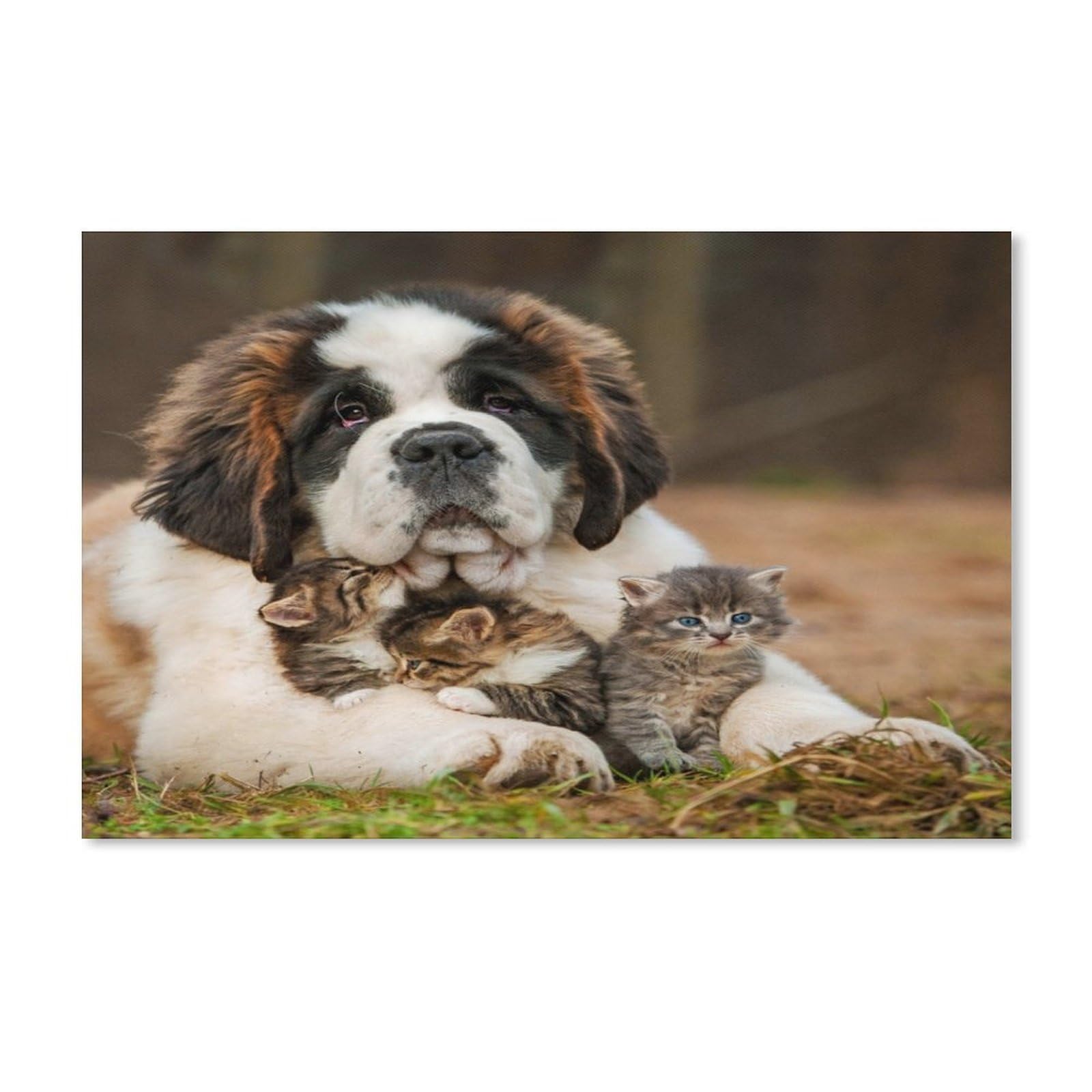 Jigsaw Puzzle 1000 Piece, Dog and Cat Classic Adult DIY Kit Paper Toy Unique Gift Modern Home Decor 50x70CM