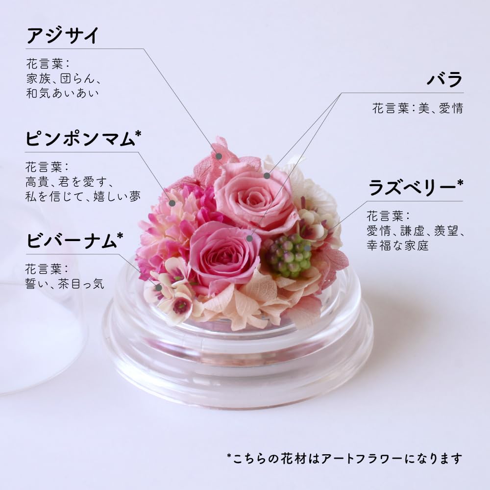 Amazon｜プリザーブドフラワー プチドーム プリザードフラワー 桃