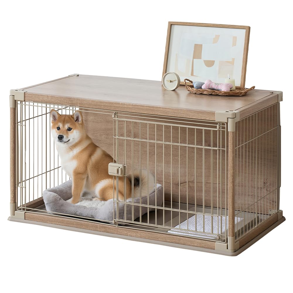 Amazon.co.jp: アイリスオーヤマ インテリアウッディサークル PIWS