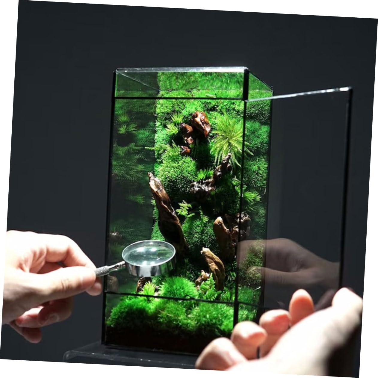 Kleines Geometrisches Glas Terrarium für Mikrolandschaften Handgefertigt mit Zinnrahmen Dekorativ für Zuhause und Garten Geeignet