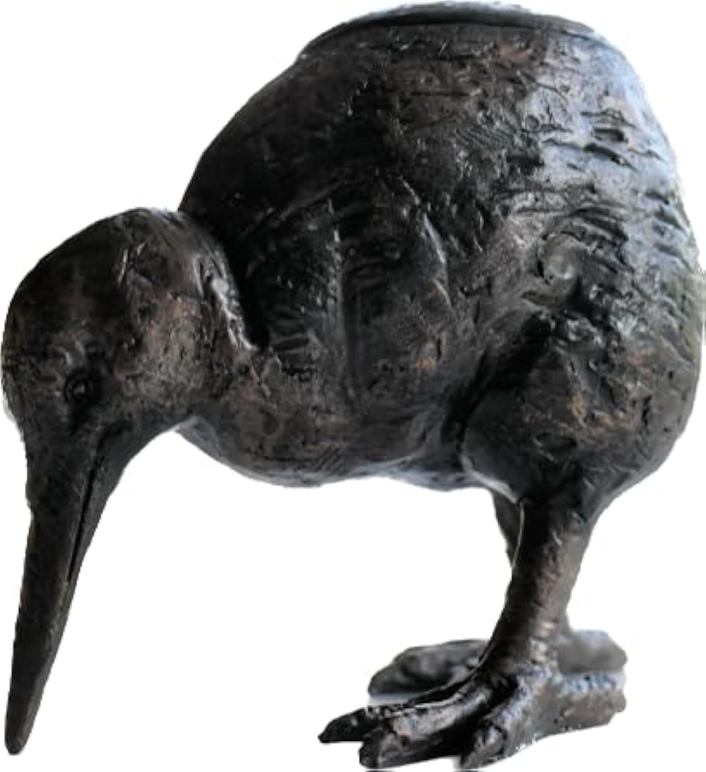 Pot à oiseaux Kiwi contre l'humidité pour conserver le sel de cuisine