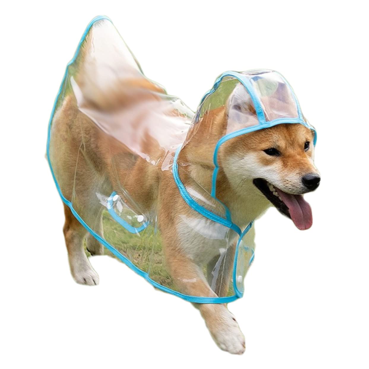 Amazon | [YJSO] 中/小型犬 クリアレインコート ドッグウェア ブルー