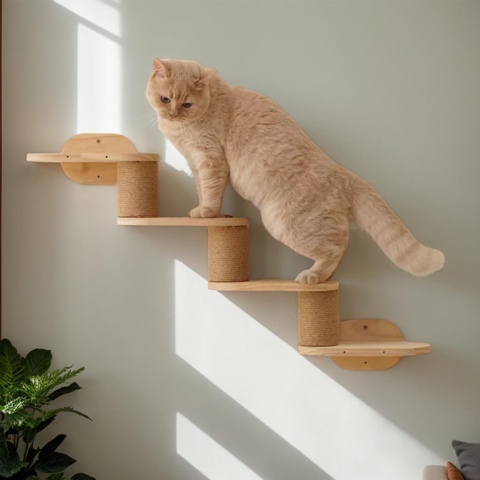 Katzen Kletterwand Katzen Kletterregale