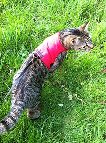 Mynwood Cat Jacket/Harness Red Fleece Adult Cat #TOP3