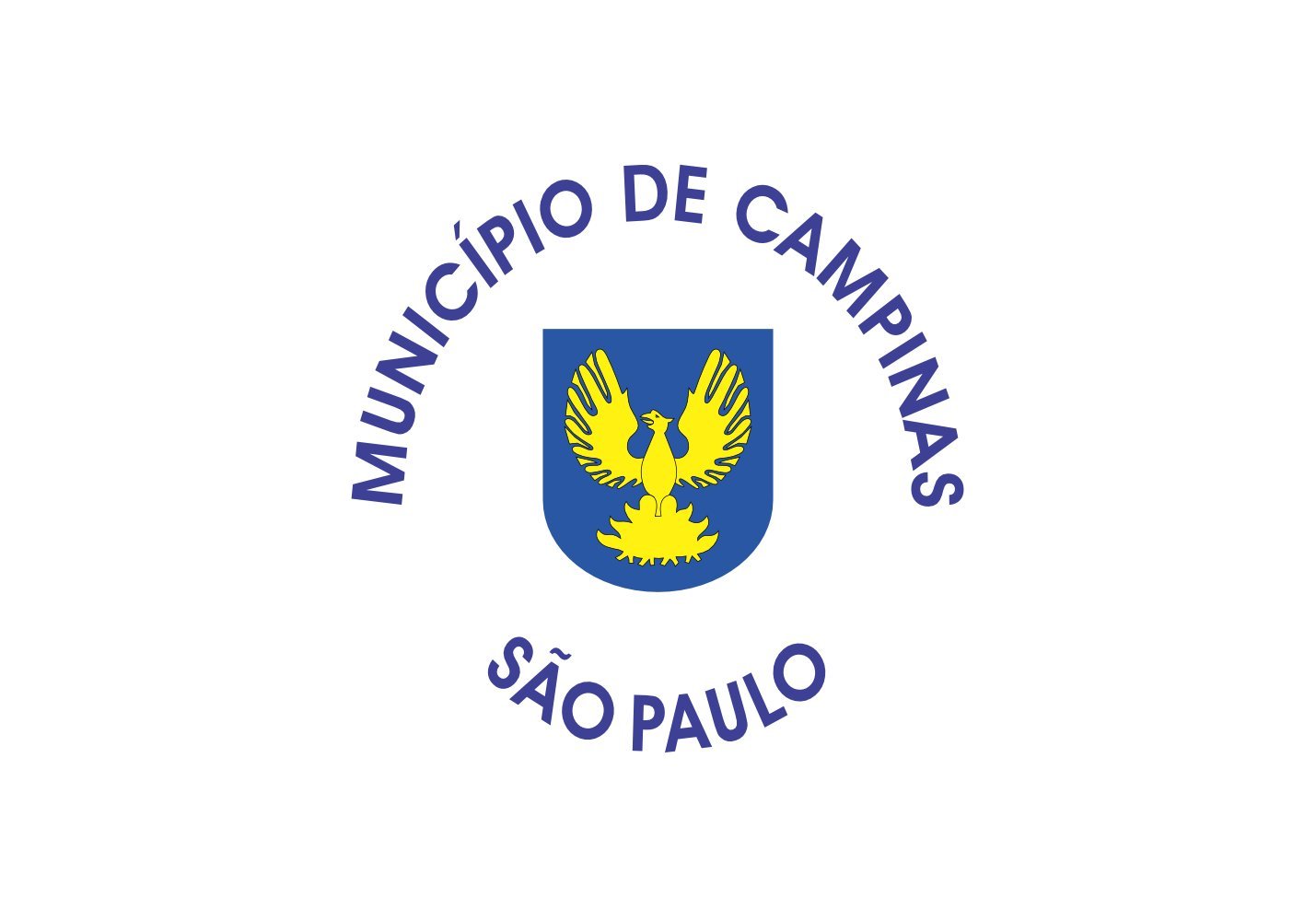 Drapeau de Campinas grand format pour décorer votre salon