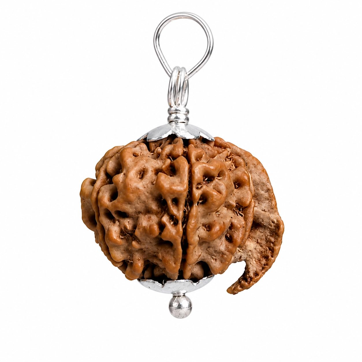Garbh Gauri Rudraksha: Fertility & Pregnancy Protection -5 Garbh Gauri Rudraksha: Fertility & Pregnancy Protection -5
