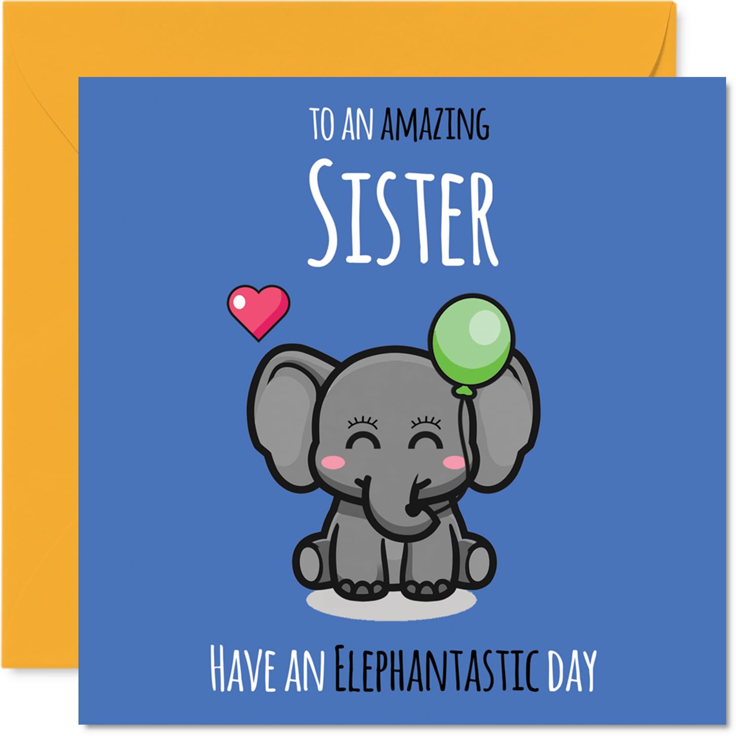 Sister Birthday Card - Have An Elephantastic Day - Happy Birthday Card for Sister from Brother Sibling, 145mm cute elephant Bday Greeting Cards
