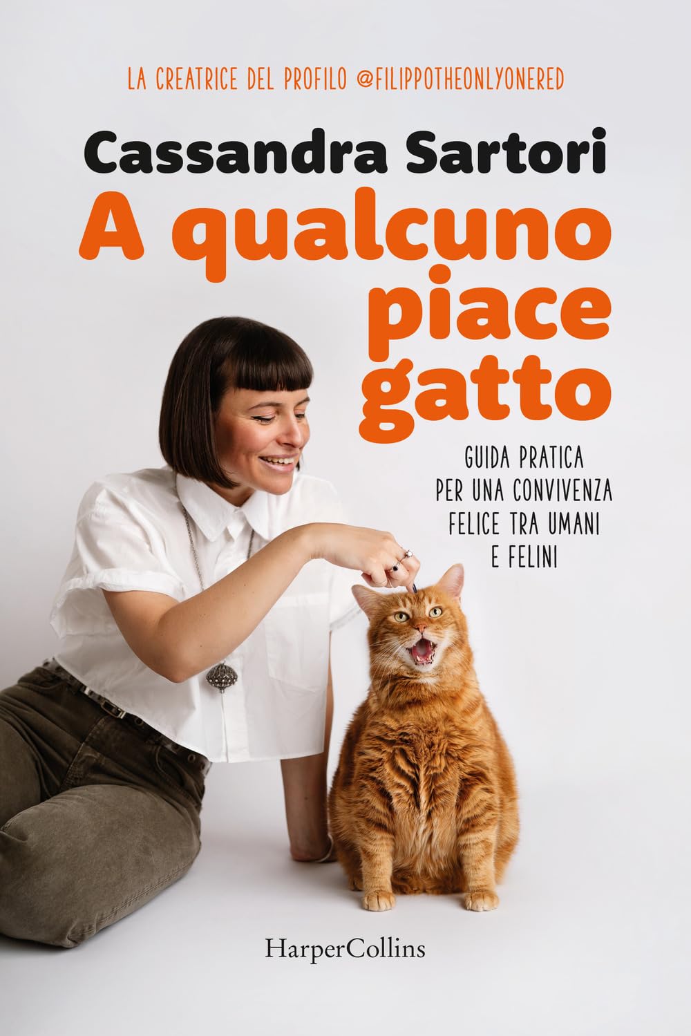 A Qualcuno Piace Gatto. Guida Pratica Per Una Convivenza Felice Tra Umani E Felini - 4