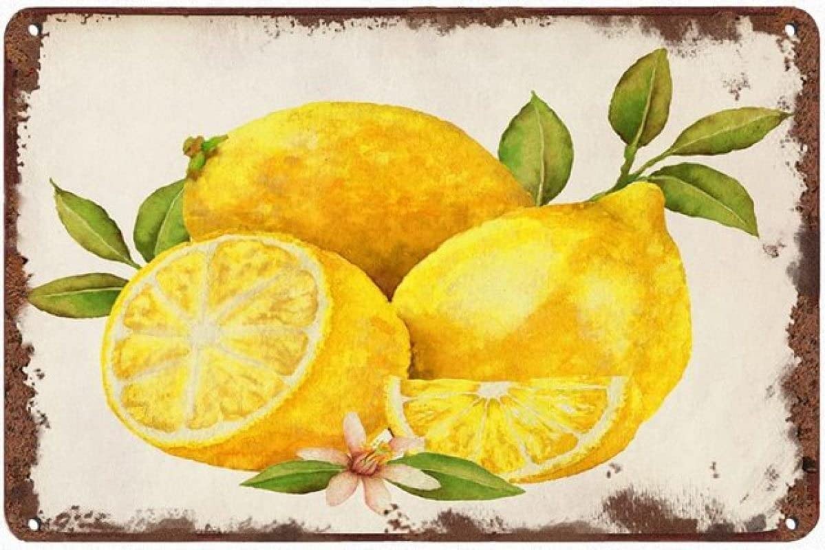 Vintage Funny Novelty Metal Sign Creative Tin Sign Lemon Metal Sign Home Bathroom Retro Art Wall Decor Es 12x16inch