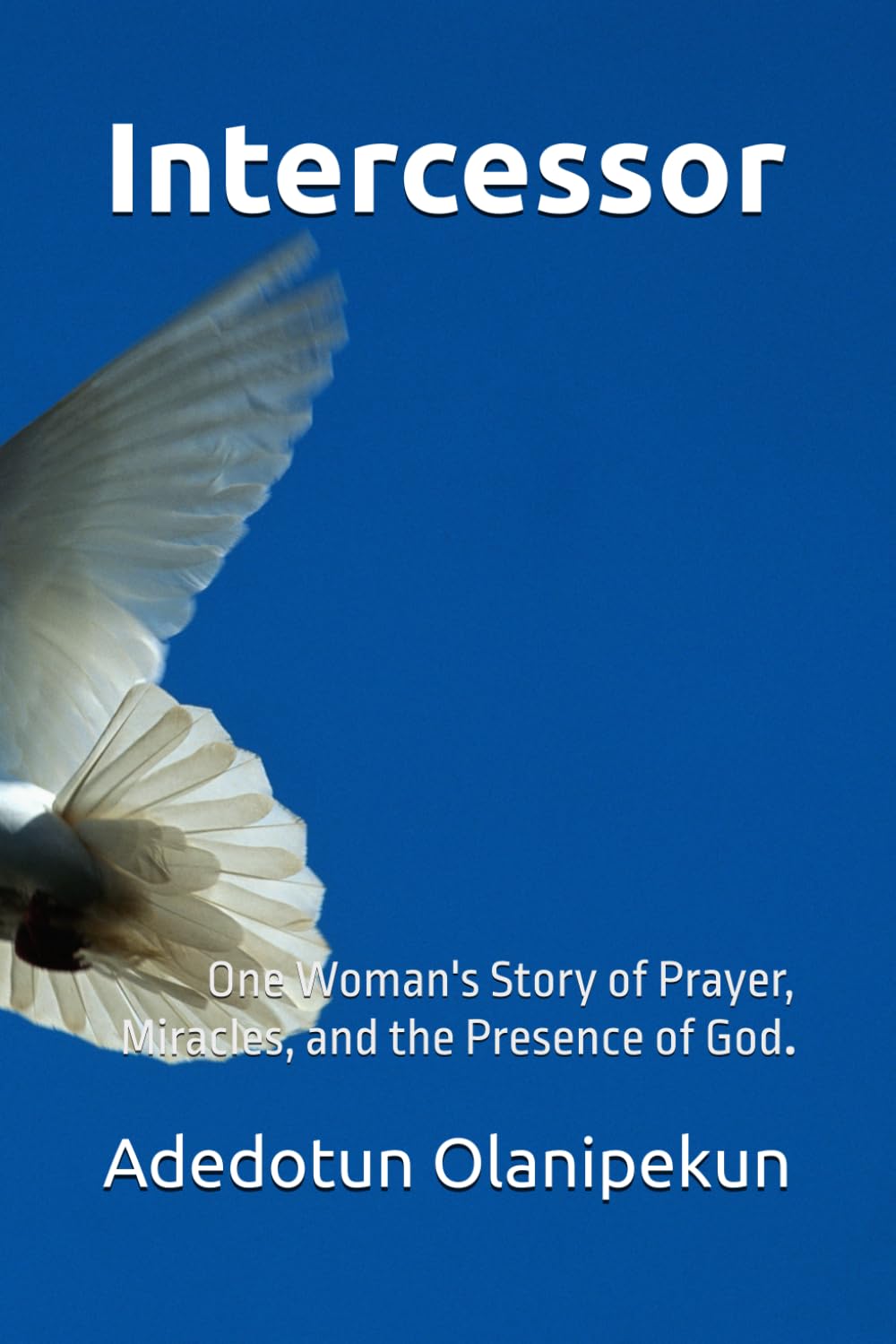 Intercessor: One Woman's Story of Prayer, Miracles, and the Presence of God
