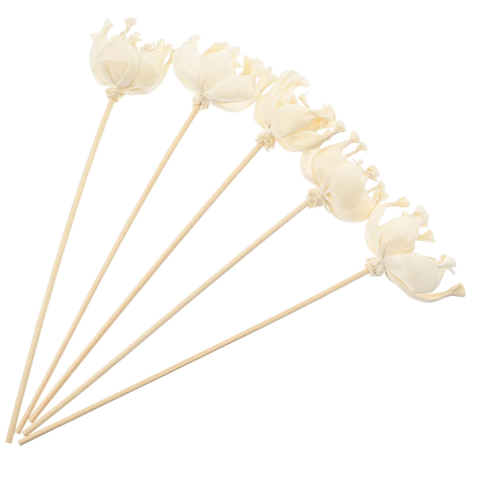 Ciieeo Aromatherapy Diffuser Sticks 5 Pcs Replacement Sticks for Essential Oil Diffusers Non-Flame Scented Sticks