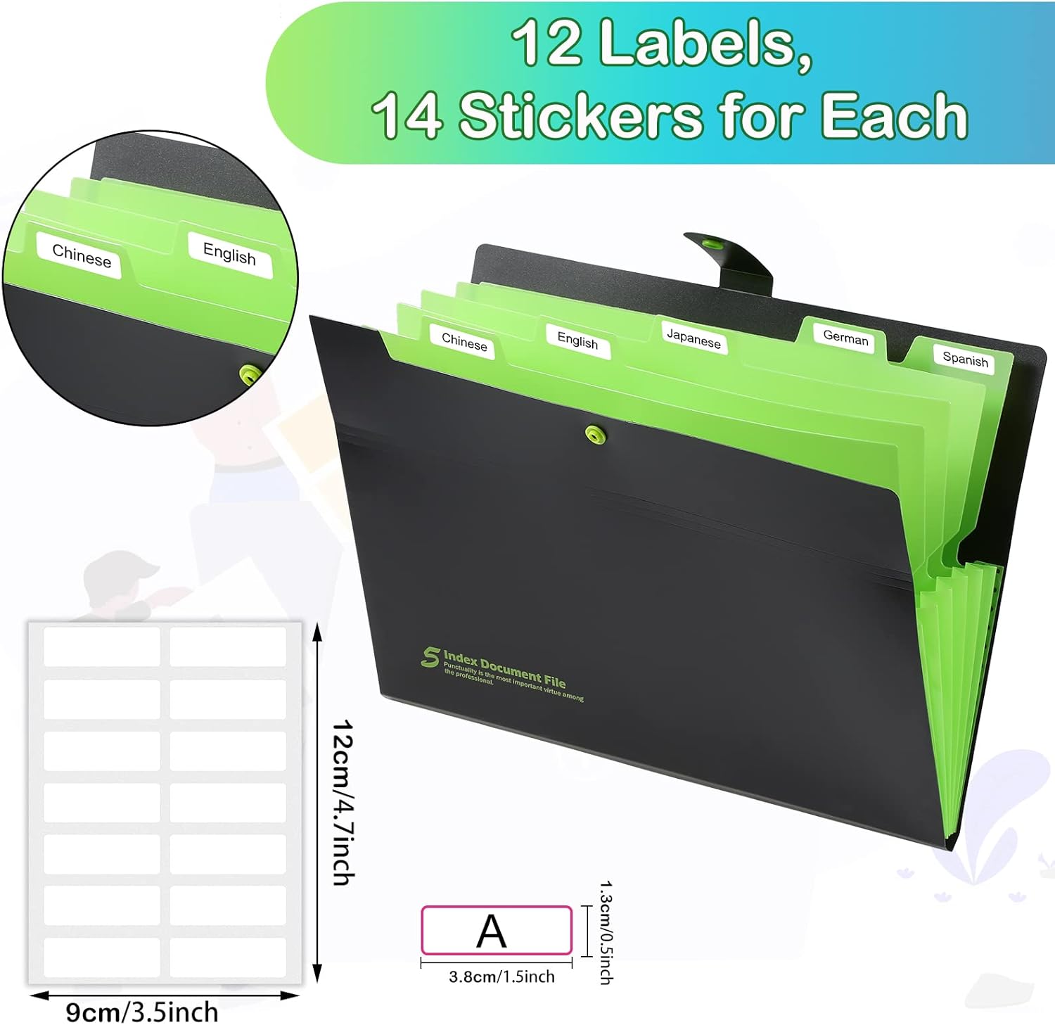 Epakh 8 Pack Expanding File Folder Organizer, 6 Pockets Expanding Folder with Labels, A4 Letter Size Document Organizer with Snap Button, Back to School Supplies for Students, Office, 4 Colors