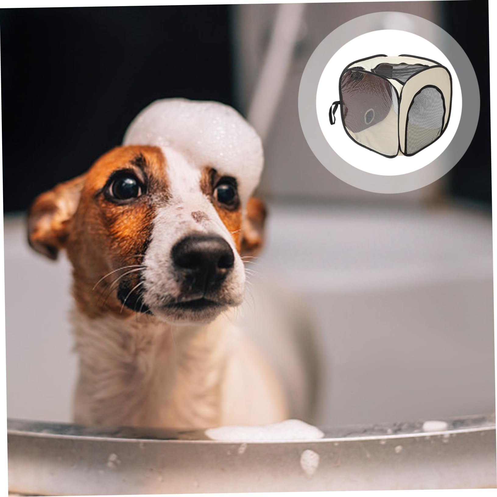 COLLBATH Sèche-Poils pour Animaux De Compagnie Boîte Portable pour Éliminer Les Nœuds Les Poils De Chat Séchage Rapide Confortable Sûr pour La Maison Les Voyages