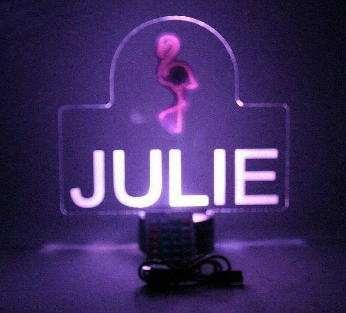 MIRROR MANIA Pink Flamingo Bird Night Light Up LED Engraved Custom Name Free Personalized Gift Desk Table Lamp Energy Efficient Home Room Decor with Remote, 16 Color Options, It's Wow