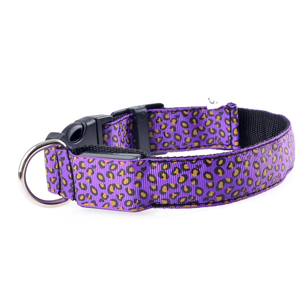 Haustierhalsband, LED, leuchtendes Halsband, Teddy, Hundehalsband, Welpen, Leopardenhalsband, Lila. Größe M