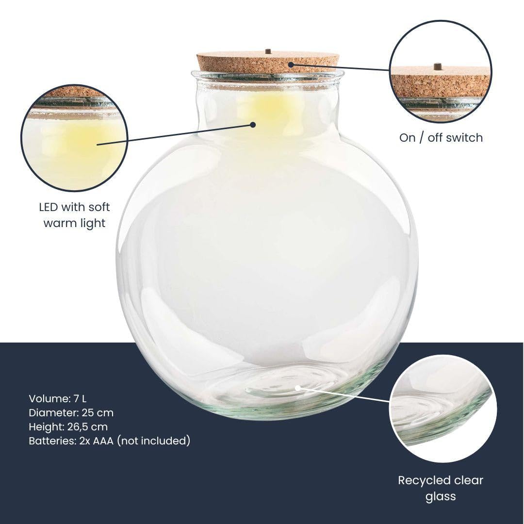 Terrarienflasche Teddy mit Korken – Ø25cm 26,5cm – Glasflasche aus Recyclingglas – ca. 7L Volumen – Für DIY – Terrarien & Mini – Ökosysteme