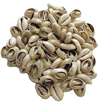 50 Pcs White and Lvory Natural Cowrie Shells Beads Oval Beach Seashells African for Hair Jewelry Making sea Shells for Crafting, DIY Craft Beads and Jewelry Making, Decorations