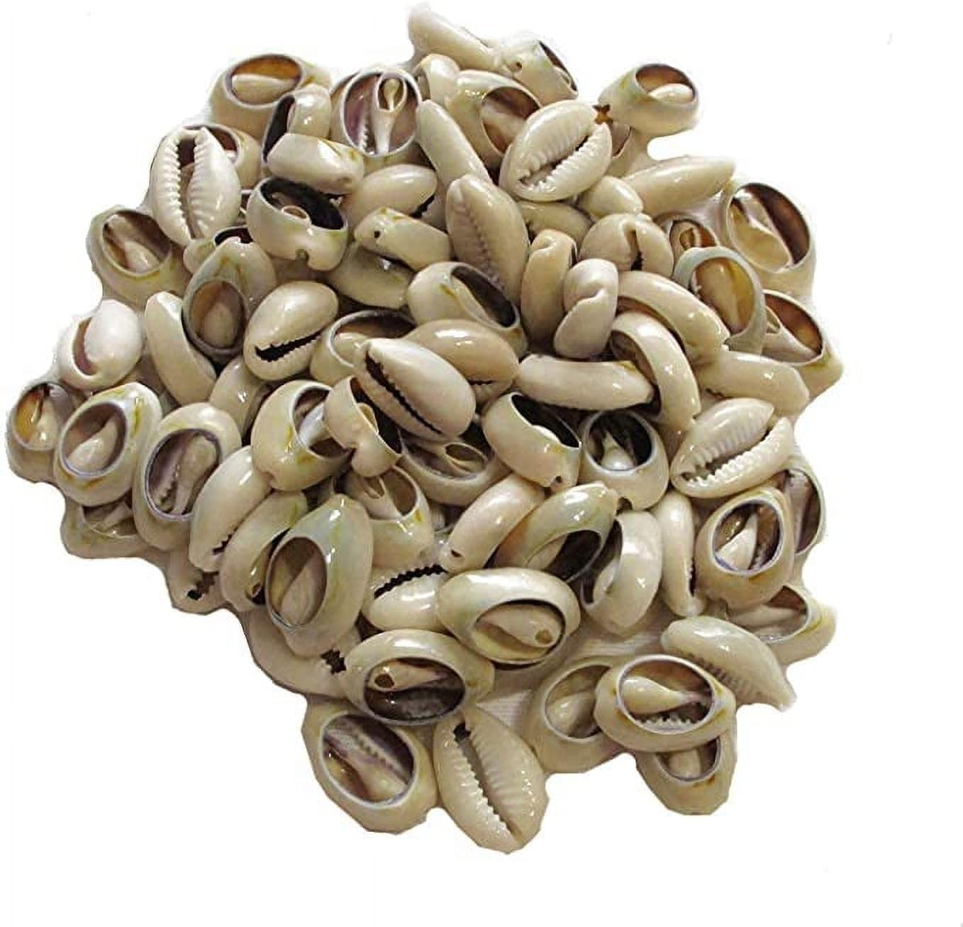 Photo 1 of 100 Pcs Lvory Natural Cowrie Shells Beads Oval Beach Seashells African for Jewelry Making sea Shells for Crafting, DIY Craft Beads and Jewelry Making, Beads and Bead Assortments, Decorations