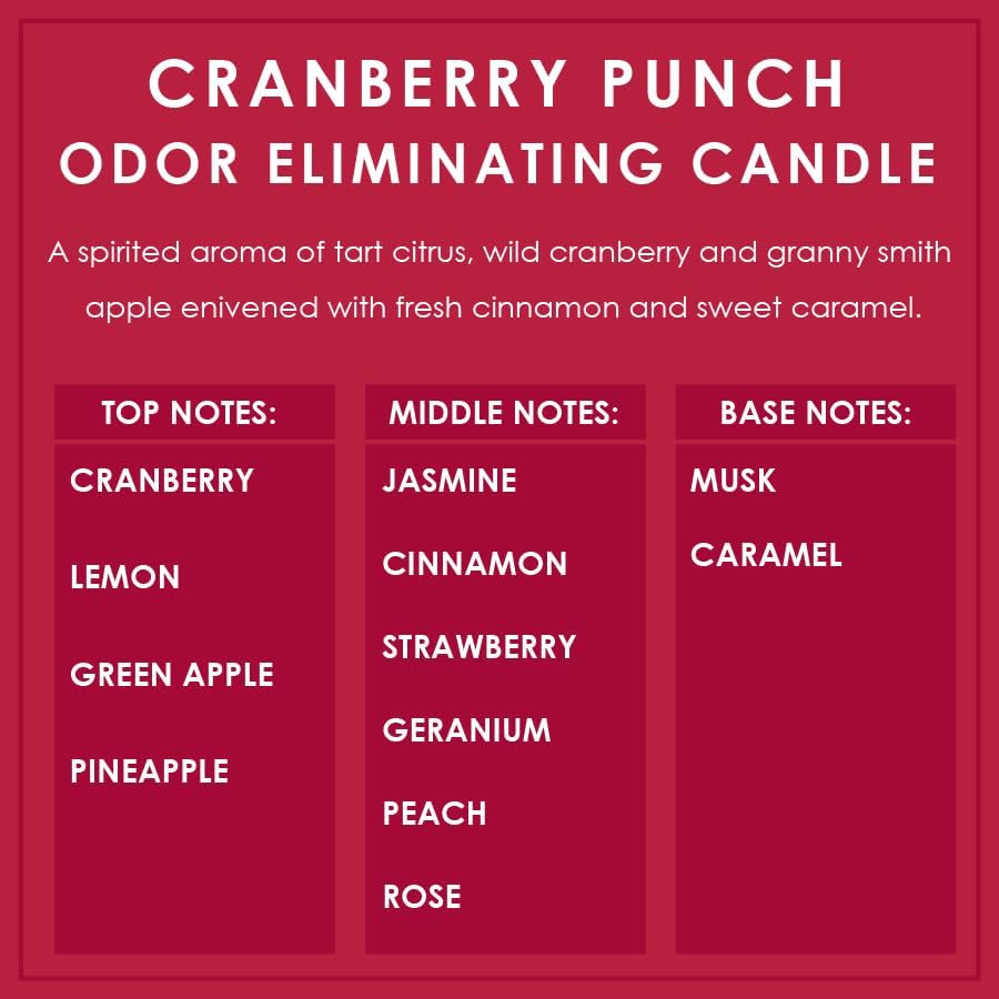 Cranberry Punch Odor Eliminating Highly Fragranced Candle - Eliminates 95% of Pet, Smoke, Food, and Other Smells Quickly - Up to 80 Hour Burn time - 12 Ounce Premium Soy Blend - Image 4