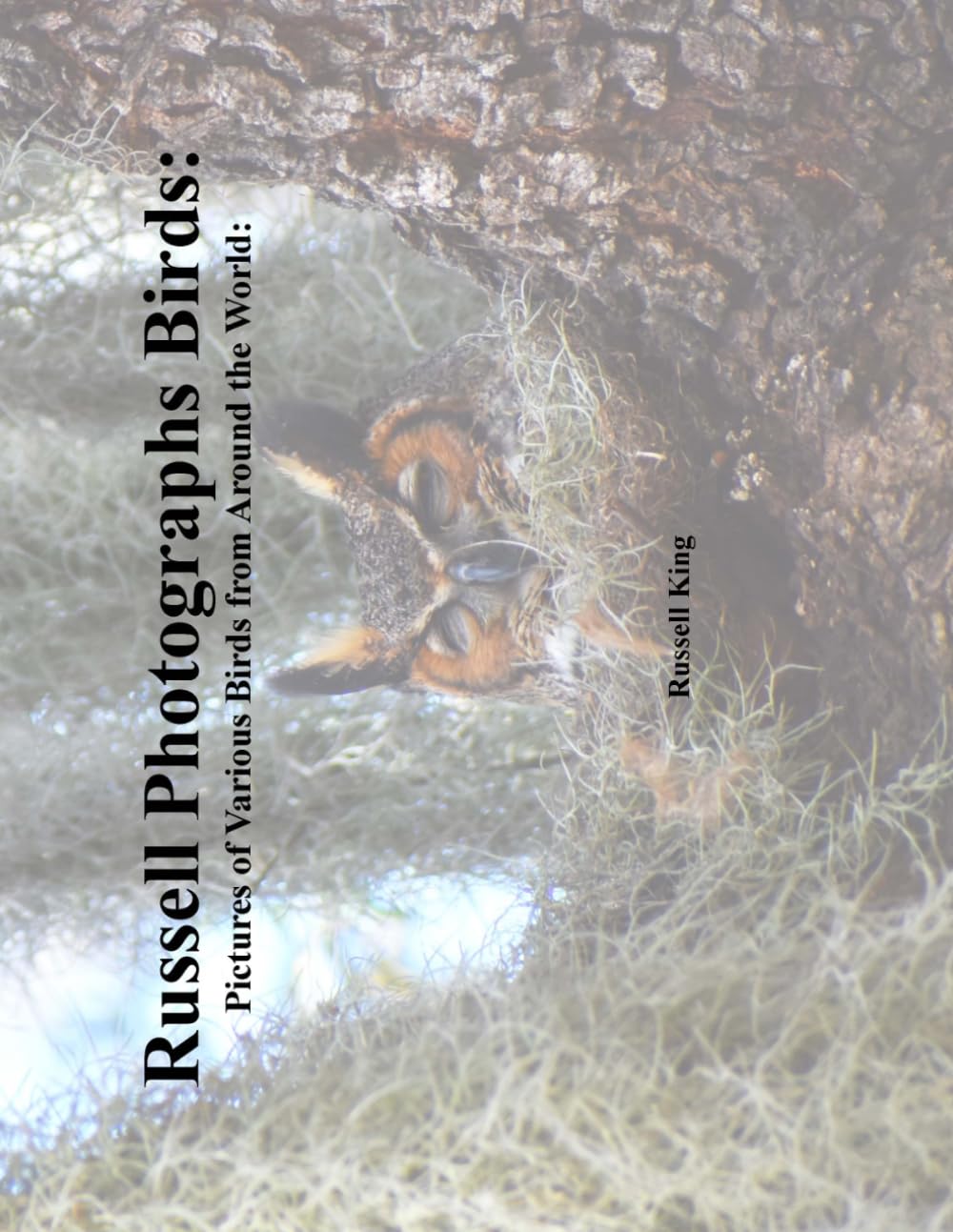 Russell Photographs Birds: Pictures of Various Birds from Around the World