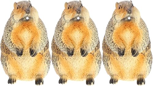 Gadpiparty Figura realista de marmota, modelo de marmota, modelo de animal, decoración del hogar, estatua de jardín al aire libre, estatua de